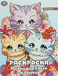 Wielokolorowe kocięta