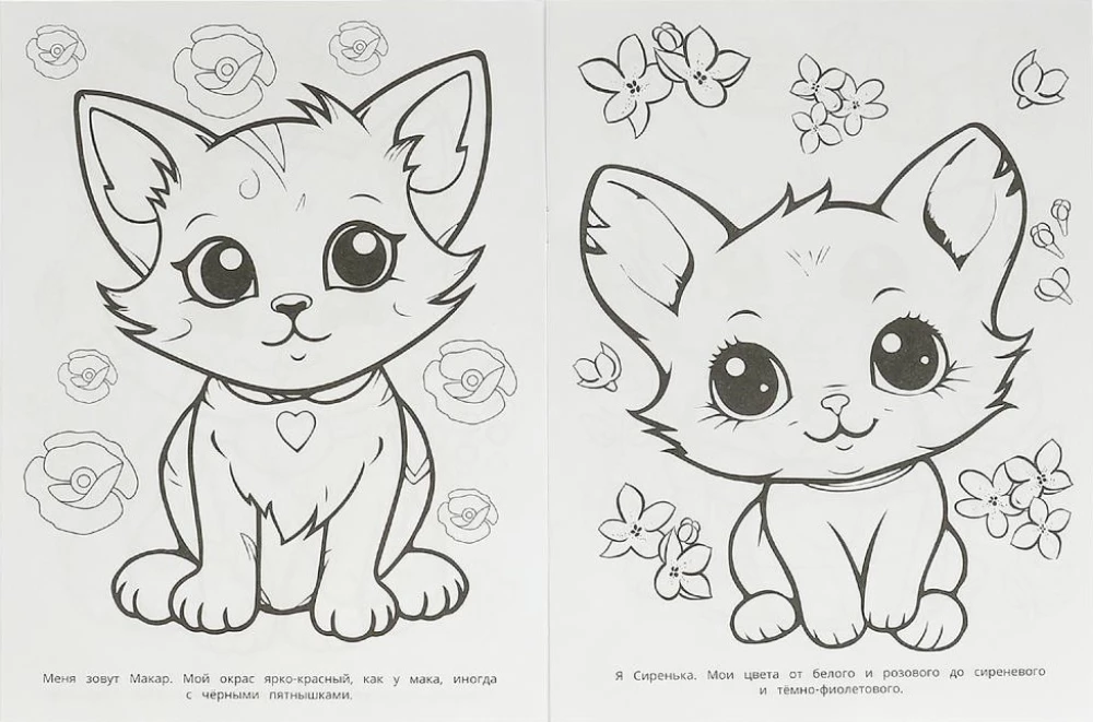 Wielokolorowe kocięta