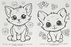 Wielokolorowe kocięta