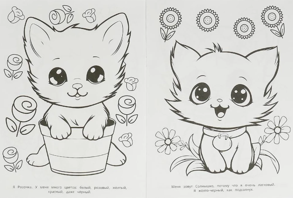 Wielokolorowe kocięta