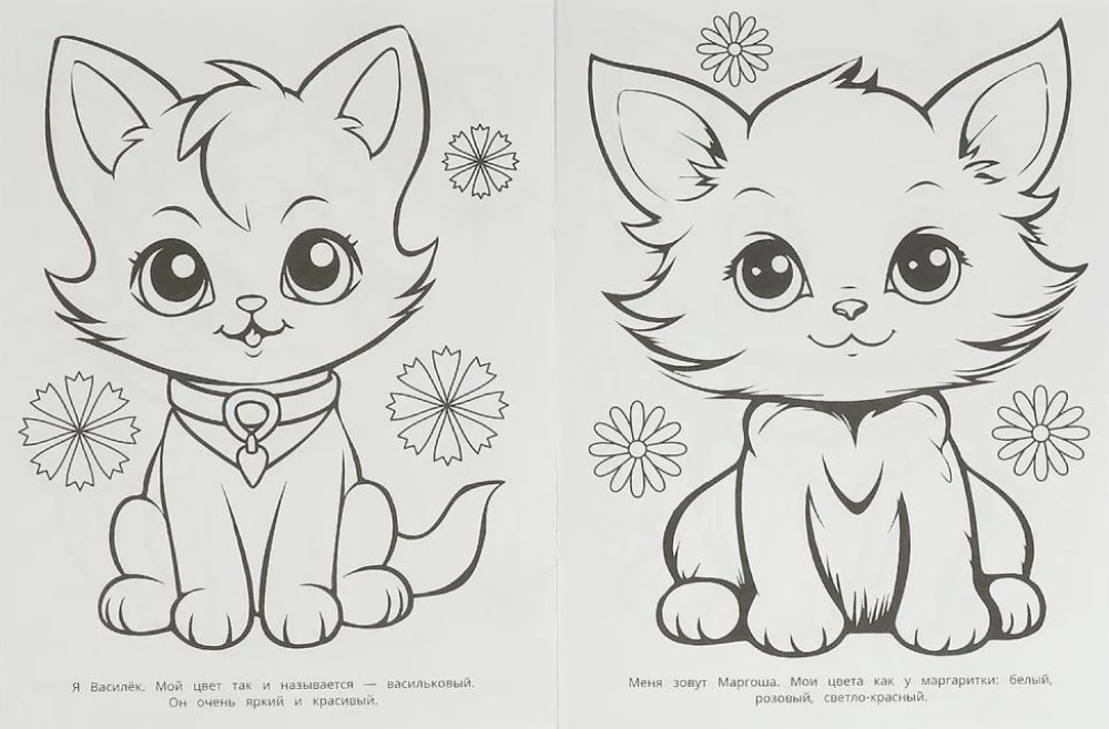 Wielokolorowe kocięta