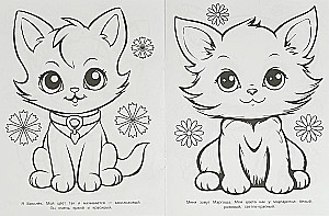 Wielokolorowe kocięta