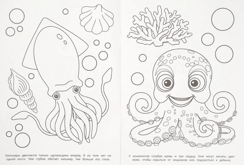 Mysteries of the Sea