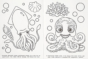 Mysteries of the Sea