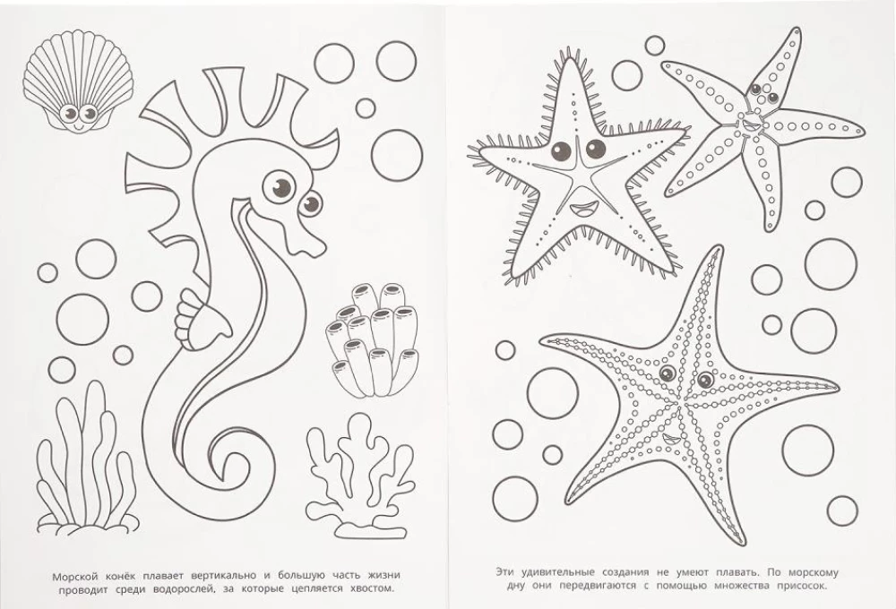 Mysteries of the Sea