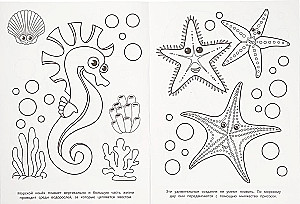 Mysteries of the Sea