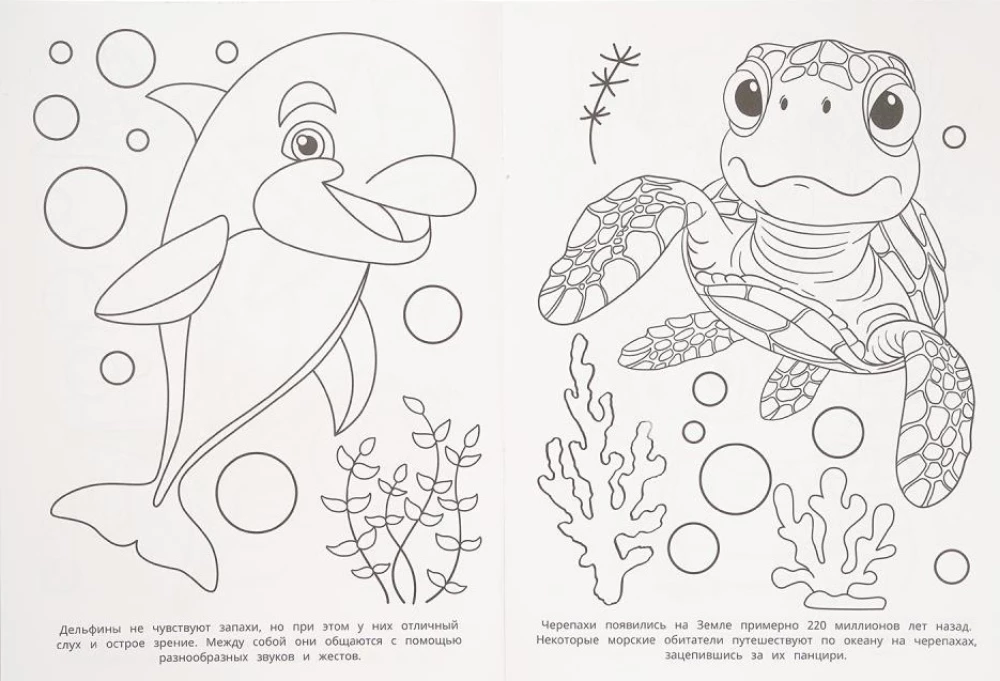 Mysteries of the Sea