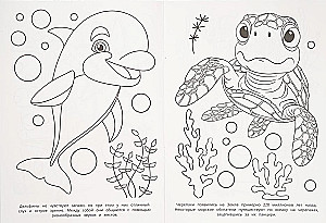 Mysteries of the Sea