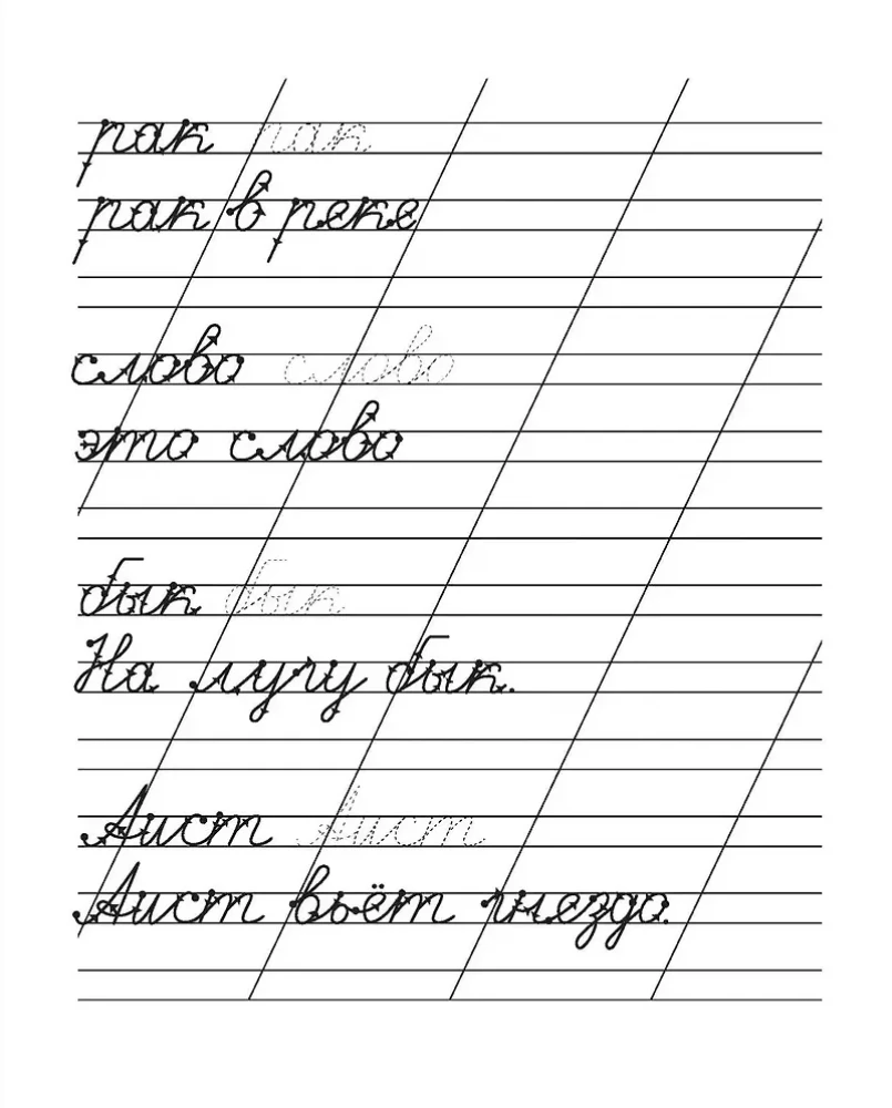 Copybooks. Workbook. Written Words