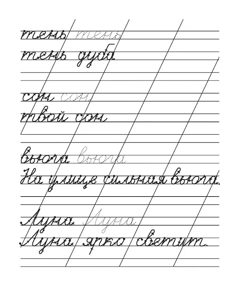 Copybooks. Workbook. Written Words