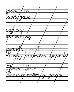 Copybooks. Workbook. Written Words