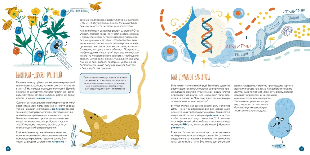 Cells: What All Living Things Are Made Of