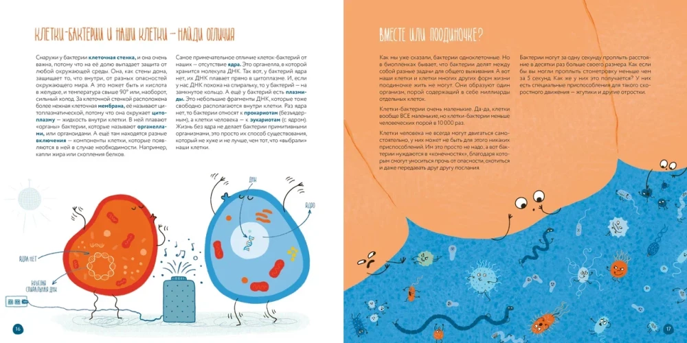 Cells: What All Living Things Are Made Of