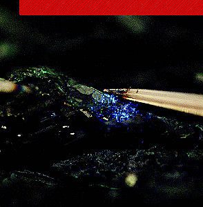 Wissenschaftliche Experimente mit dem Periodensystem