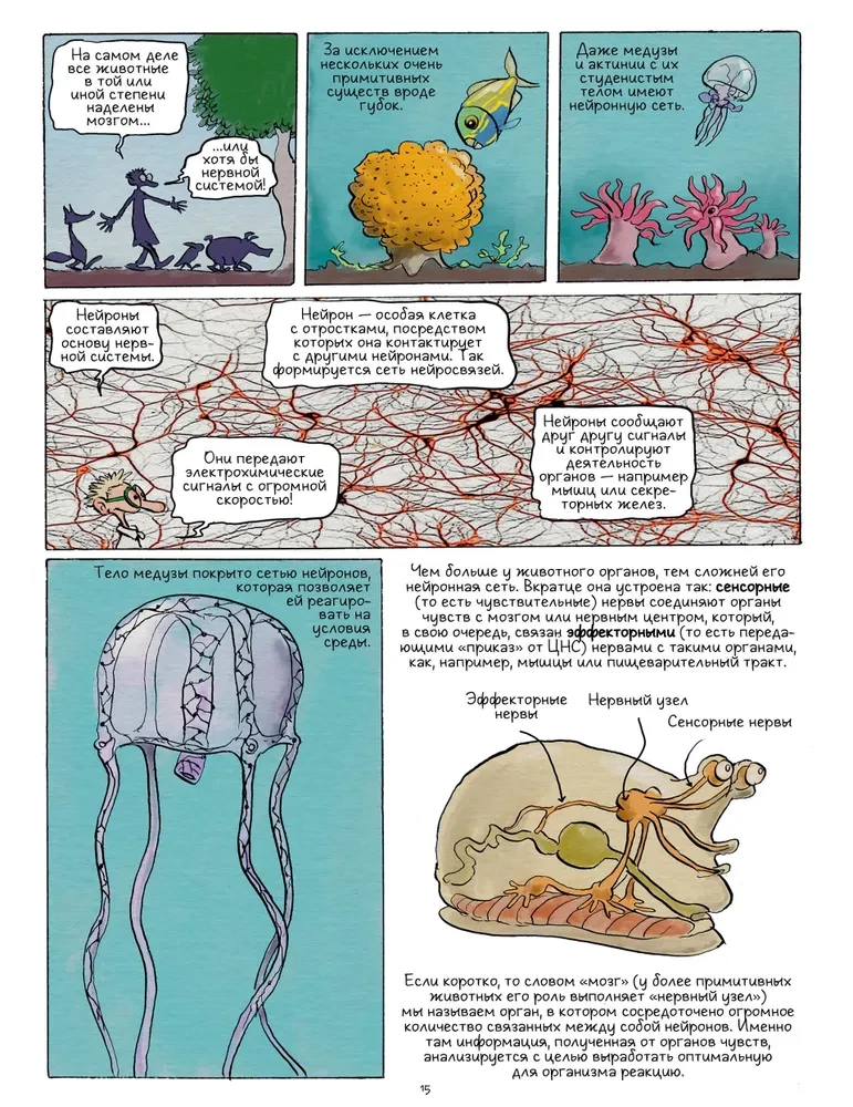 The Smartest Animal on Earth