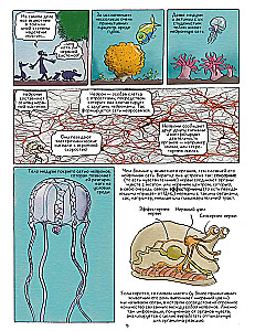 The Smartest Animal on Earth