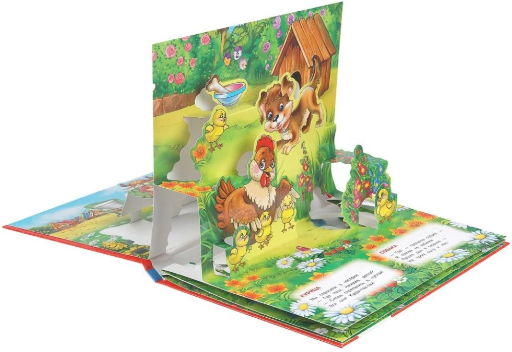 Książka panoramiczna - Zwierzęta domowe