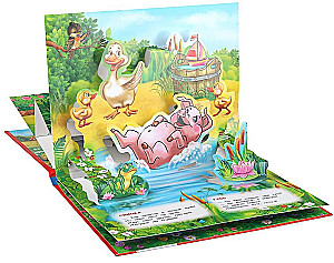 Książka panoramiczna - Zwierzęta domowe