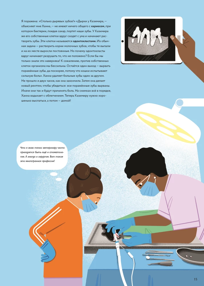 At the Veterinarian: How Animal Medicine Works