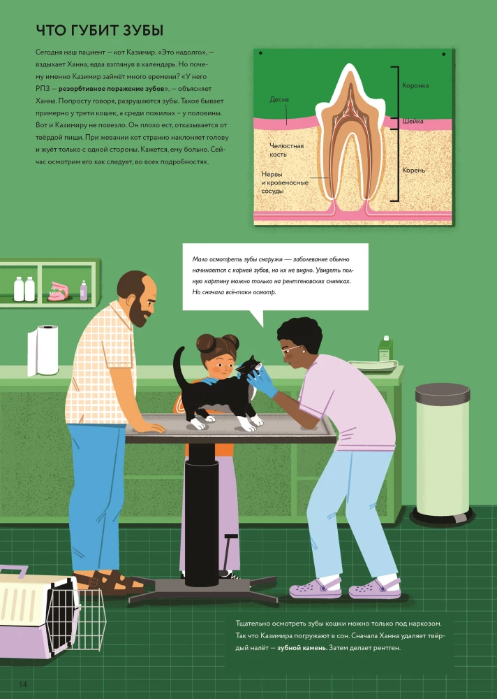 At the Veterinarian: How Animal Medicine Works
