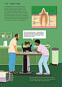 At the Veterinarian: How Animal Medicine Works