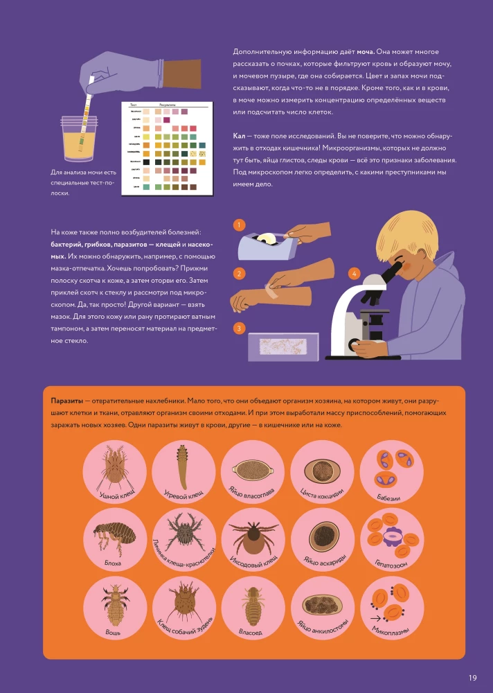 At the Veterinarian: How Animal Medicine Works