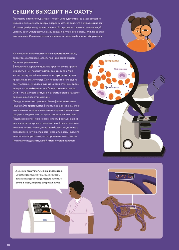 At the Veterinarian: How Animal Medicine Works