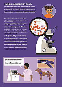 At the Veterinarian: How Animal Medicine Works
