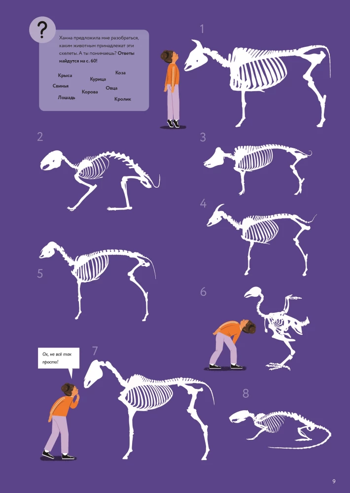 At the Veterinarian: How Animal Medicine Works