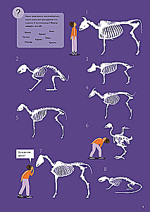 At the Veterinarian: How Animal Medicine Works