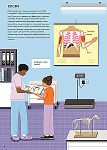At the Veterinarian: How Animal Medicine Works