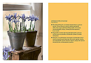 Hygge, lykke i sztuka wspomnień (zestaw 3 książek)