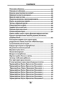 Księga zaklęć. Tom 3