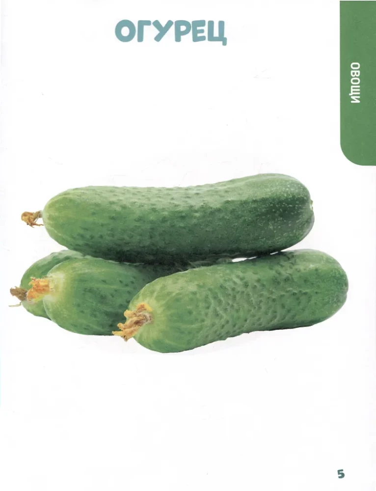 The Main Book for Kids. Vegetables, Fruits, and Much More