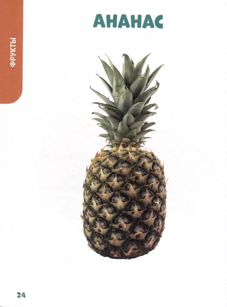 The Main Book for Kids. Vegetables, Fruits, and Much More