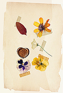 Under the Light of the Lamp: Moments of Quiet Happiness. Warm Evening Stories