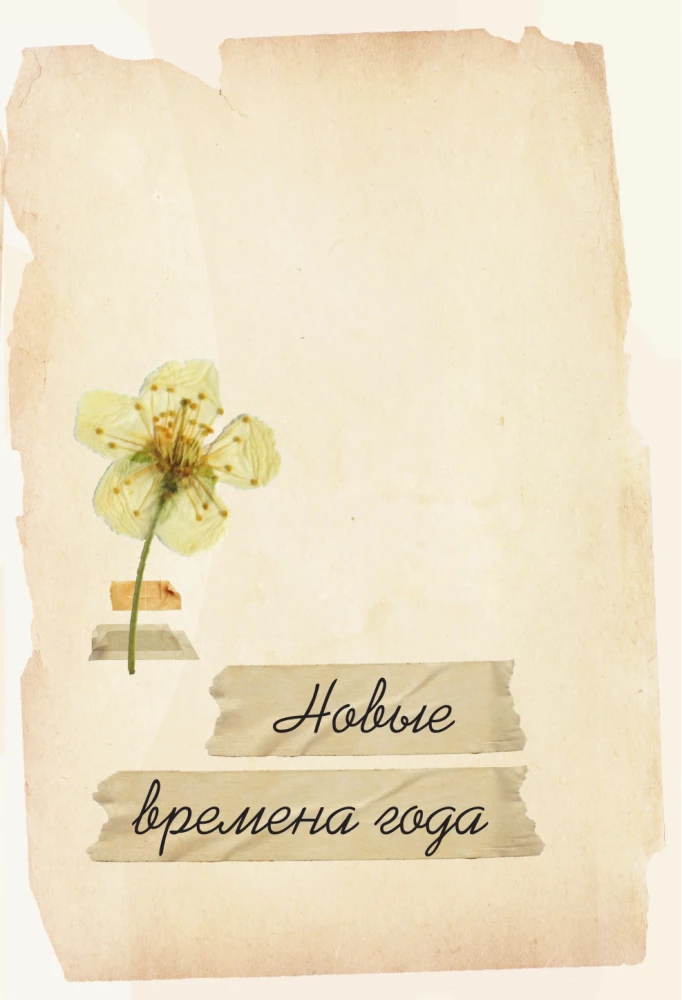 Under the Light of the Lamp: Moments of Quiet Happiness. Warm Evening Stories