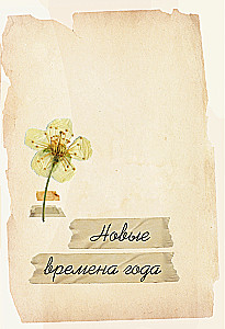 Under the Light of the Lamp: Moments of Quiet Happiness. Warm Evening Stories