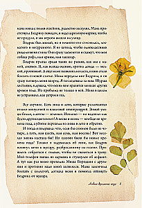 Under the Light of the Lamp: Moments of Quiet Happiness. Warm Evening Stories