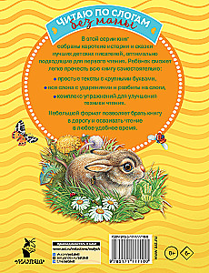 Short Stories About Nature