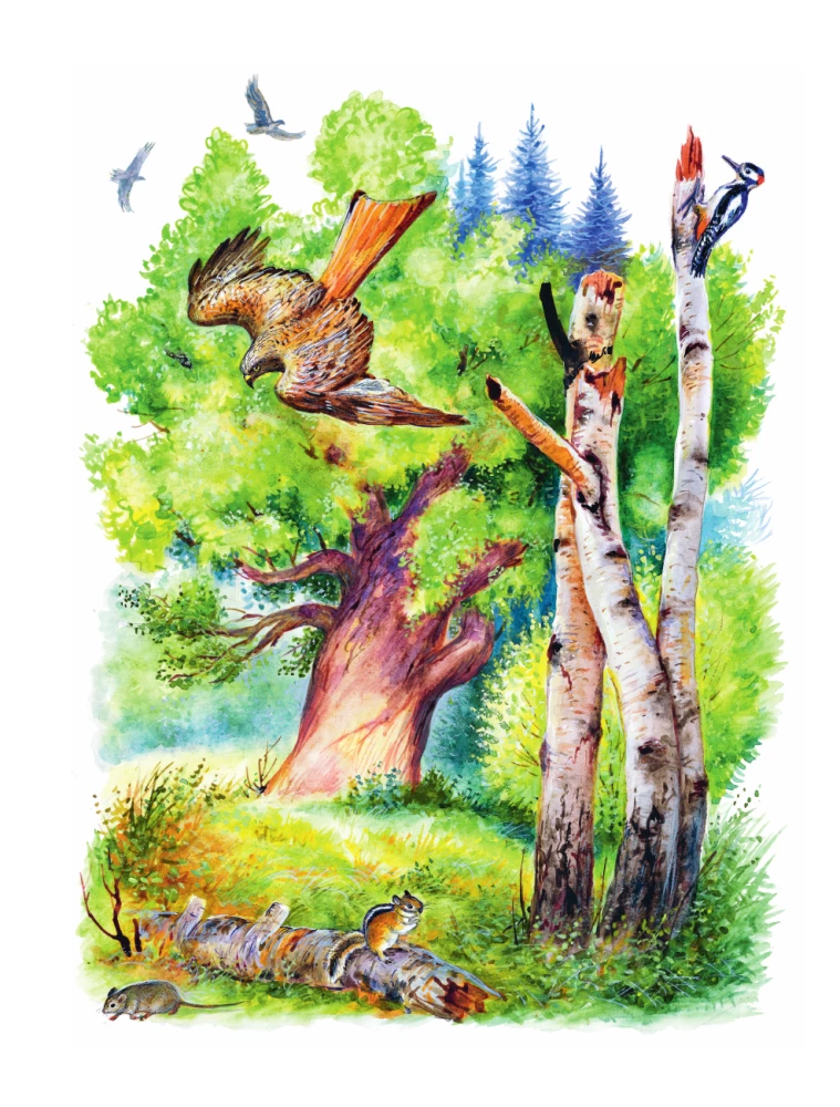 Short Stories About Nature