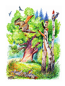 Short Stories About Nature