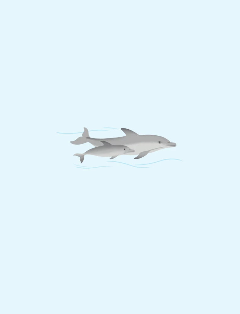 Underwater World