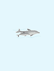 Underwater World