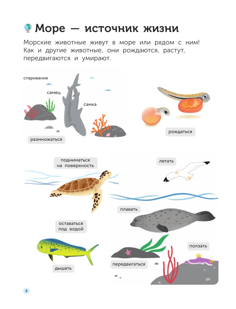 Underwater World