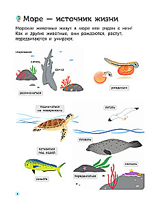 Underwater World