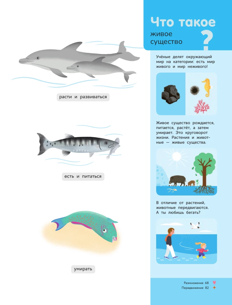 Underwater World