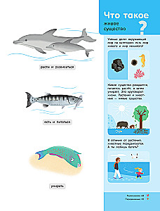 Underwater World