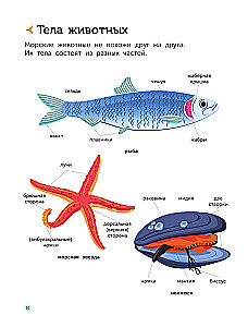 Underwater World