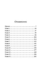 Mountain Road Through the New Year